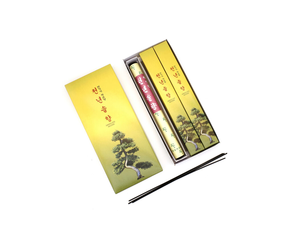 천년솔향